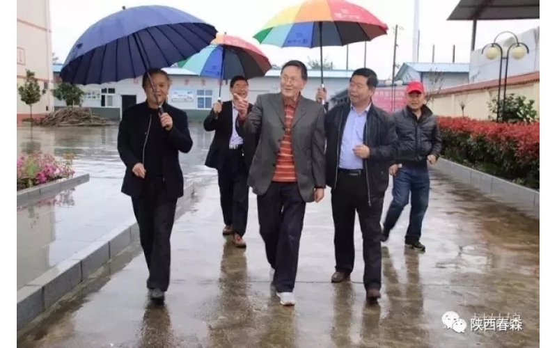 原西鄉(xiāng)縣委書記呂陽平受邀來訪西鄉(xiāng)縣食用菌研究所指導工作