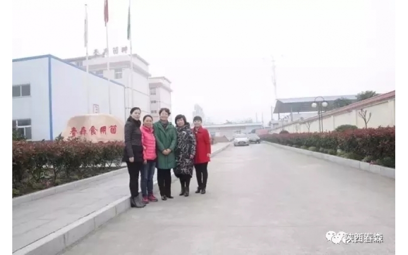 漢中市婦聯副主席黨曉芬一行蒞臨西鄉(xiāng)縣食用菌研究所視察指導工作