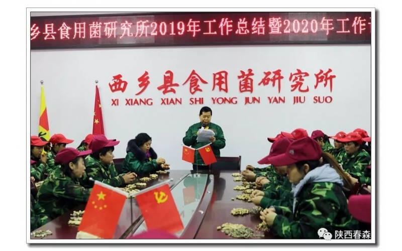 2019春森菌業(yè)年產(chǎn)菌種超過300萬袋（瓶），擴建近40畝，經(jīng)營再創(chuàng)歷史新高